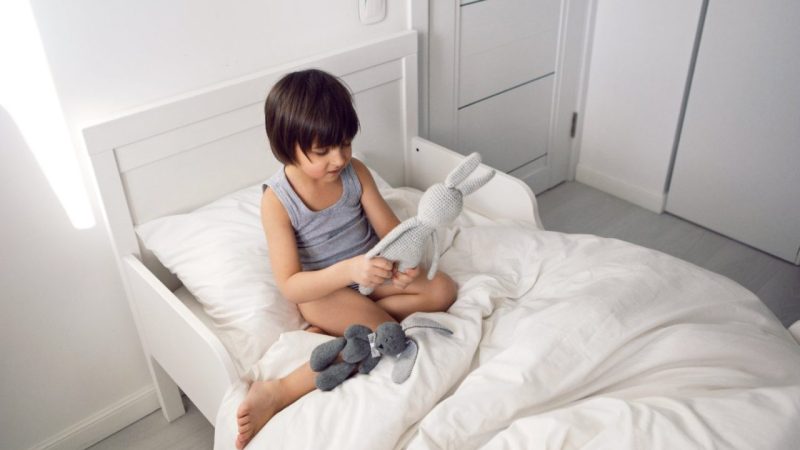 Lit enfant 90×190 bas : le choix idéal pour une chambre pratique et évolutive